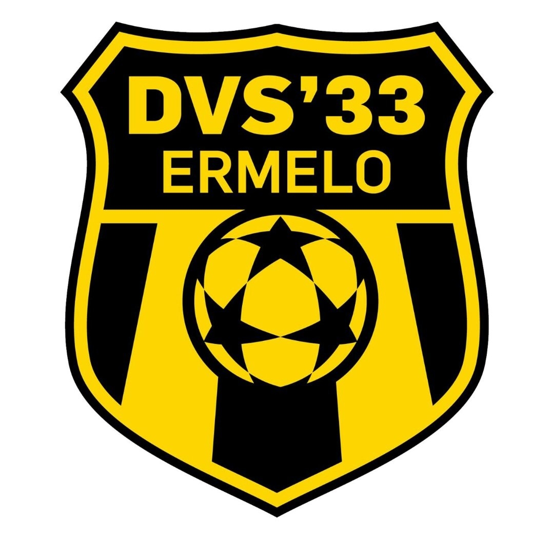 DVS'33 logo