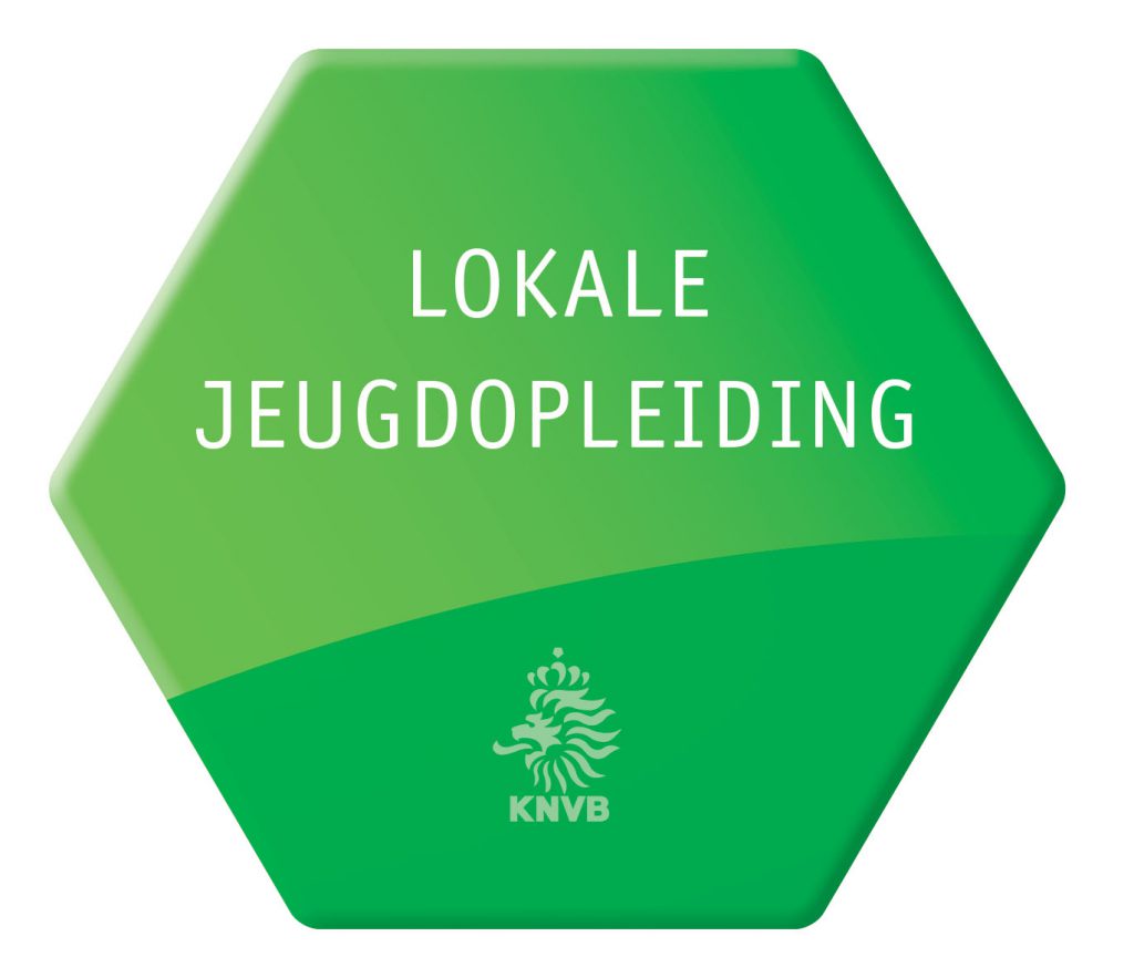 Lokale Jeugdopleiding s.v. Huizen