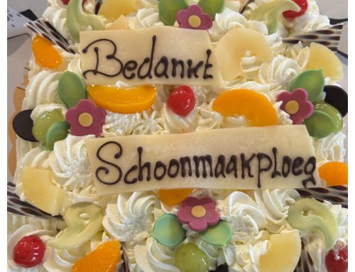 Dé week van de Schoonmaakcommissie